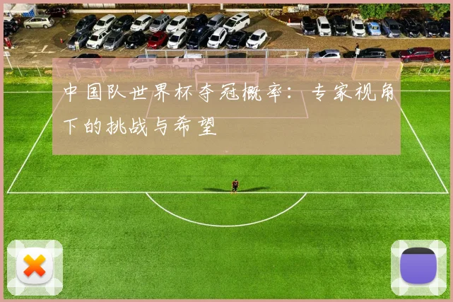 中国队世界杯夺冠概率：专家视角下的挑战与希望