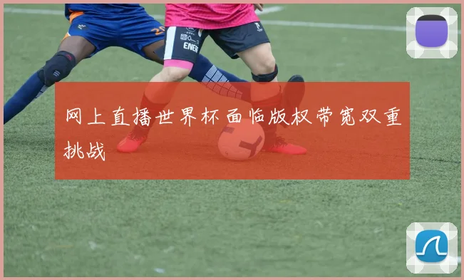 网上直播世界杯面临版权带宽双重挑战