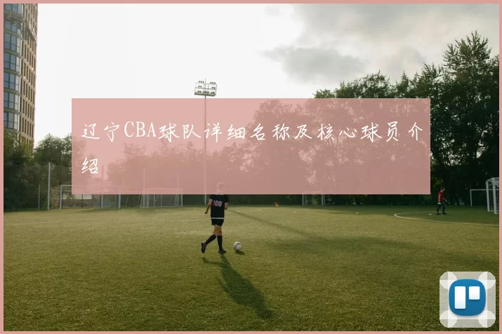 辽宁CBA球队详细名称及核心球员介绍