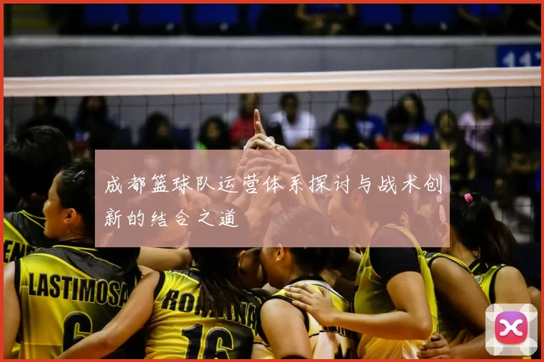 成都篮球队运营体系探讨与战术创新的结合之道