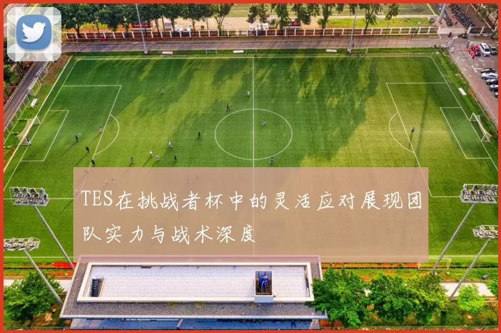 TES在挑战者杯中的灵活应对展现团队实力与战术深度