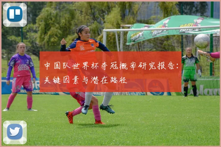 中国队世界杯夺冠概率研究报告:关键因素与潜在路径