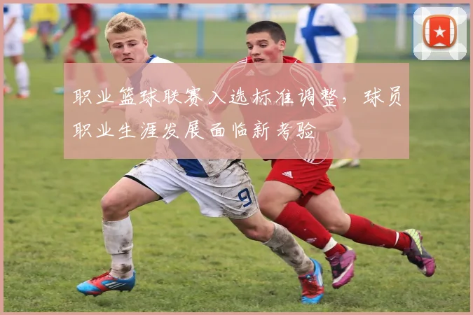 职业篮球联赛入选标准调整,球员职业生涯发展面临新考验