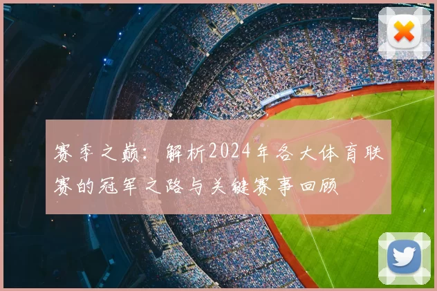 赛季之巅：解析2024年各大体育联赛的冠军之路与关键赛事回顾