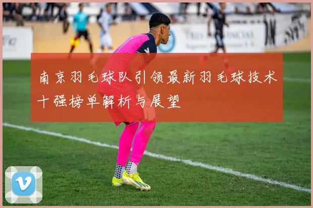 南京羽毛球队引领最新羽毛球技术十强榜单解析与展望