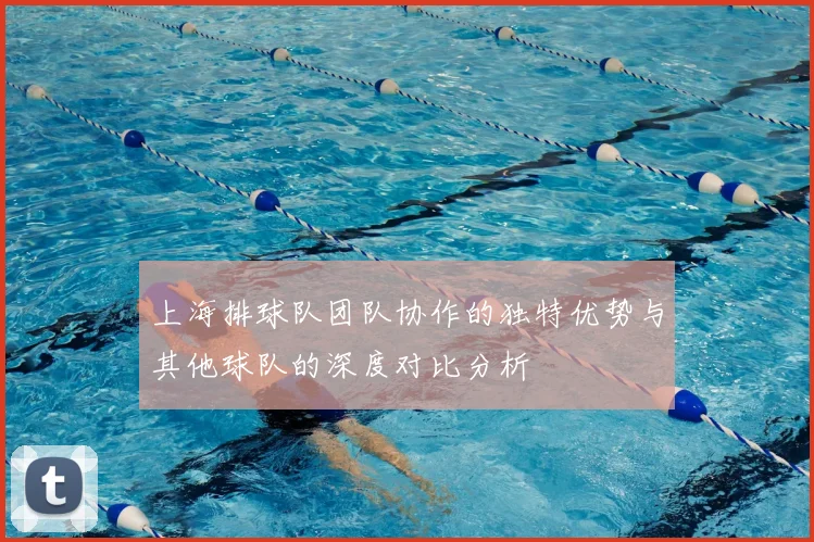 上海排球队团队协作的独特优势与其他球队的深度对比分析