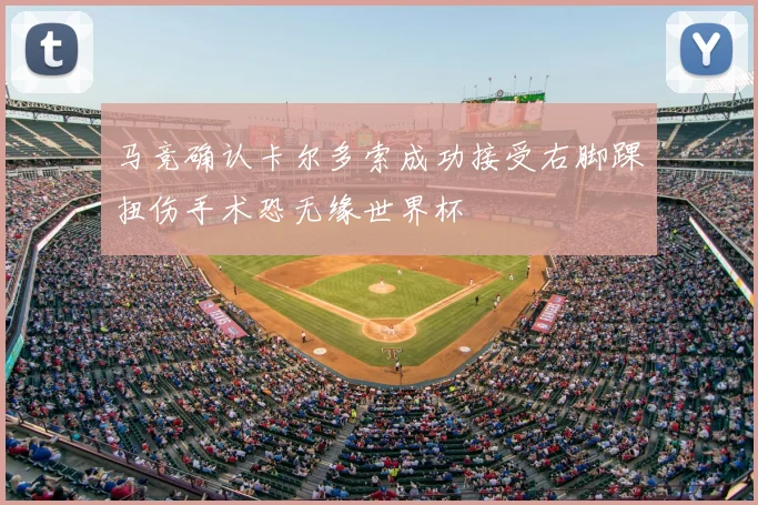 马竞确认卡尔多索成功接受右脚踝扭伤手术恐无缘世界杯