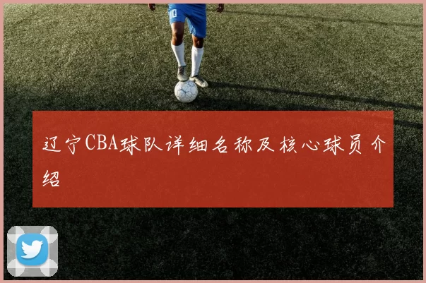 辽宁CBA球队详细名称及核心球员介绍