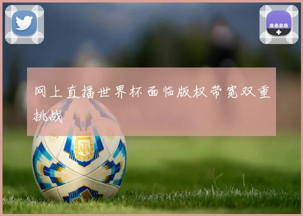 网上直播世界杯面临版权带宽双重挑战