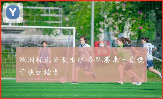 欧洲杯比分表出炉 各队赛果一览便于快速检索