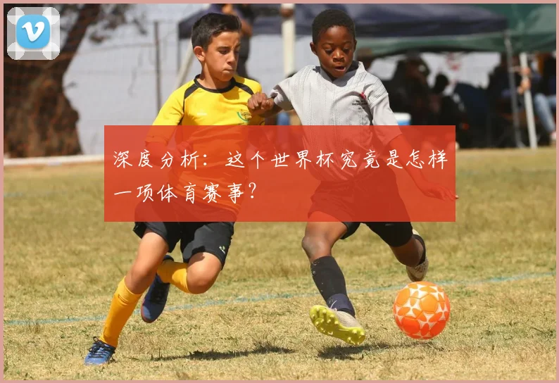 深度分析：这个世界杯究竟是怎样一项体育赛事？