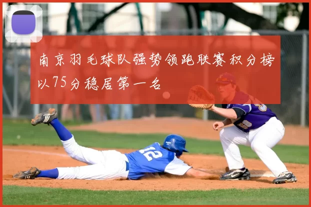 南京羽毛球队强势领跑联赛积分榜以75分稳居第一名